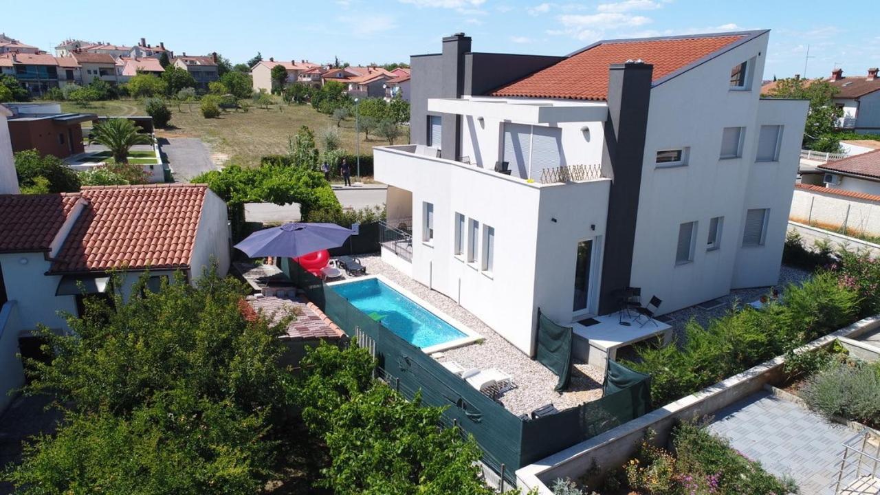 Peti Pula